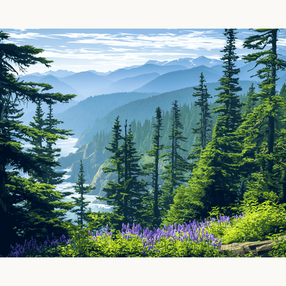 Olympic National Park