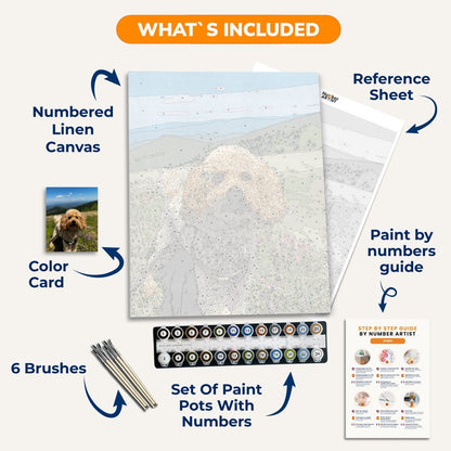 Custom Paint by Numbers Kit