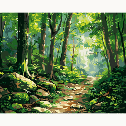 Relaxing Forest Walk